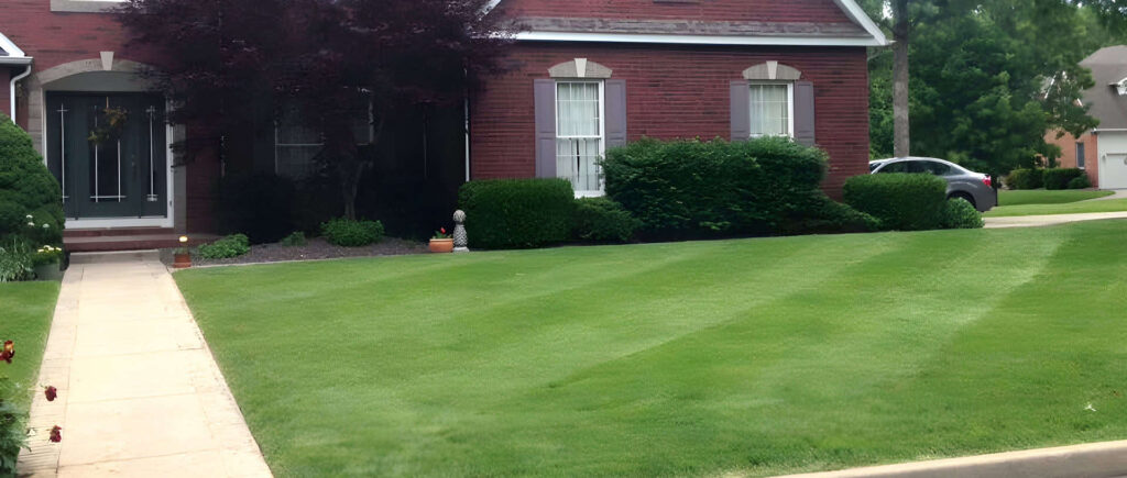 Anderson Lawn recently mowed